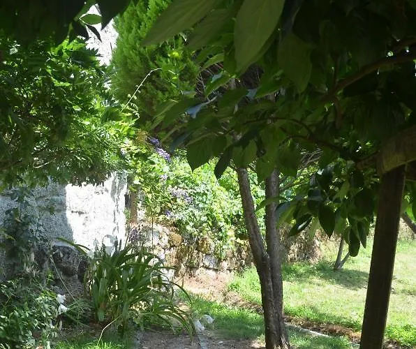 Country Casa Do Avô Carneiro